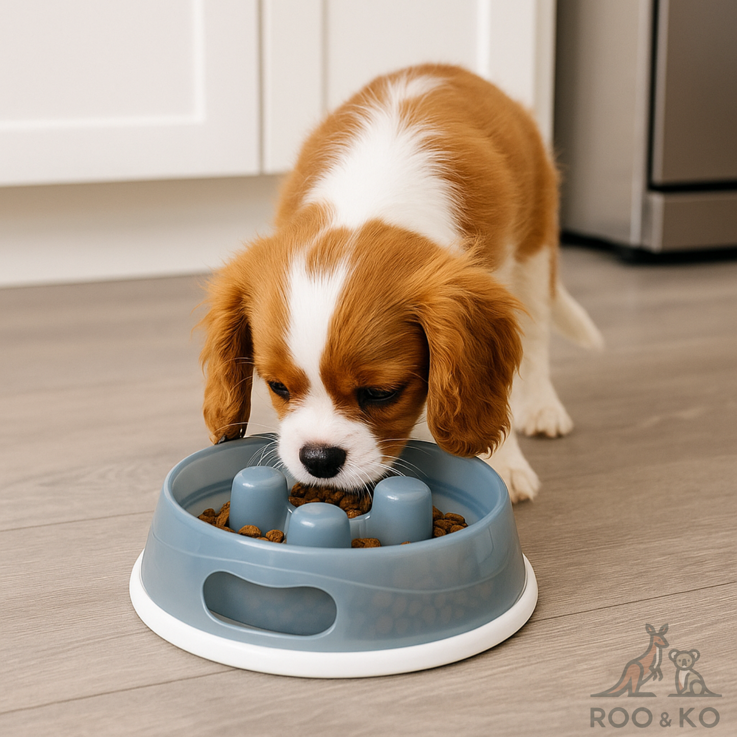 Slow-Feed Bowl (Non-Slip, Food-Grade)