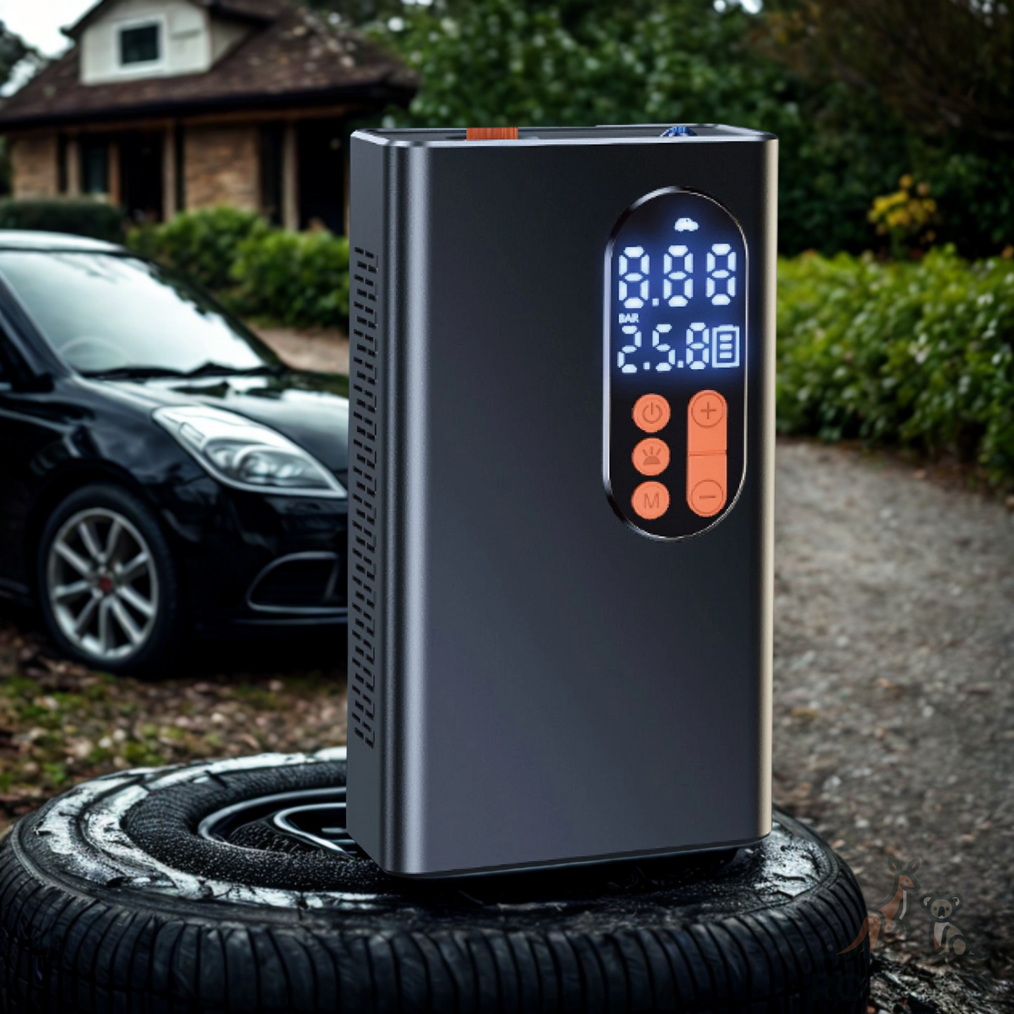 Portable Tyre Inflator