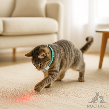 USB Rechargeable Cat Laser Toy (Auto)