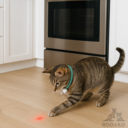 USB Rechargeable Cat Laser Toy (Auto)