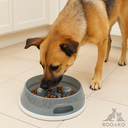 Slow-Feed Bowl (Non-Slip, Food-Grade)