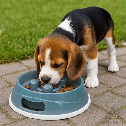 Slow-Feed Bowl (Non-Slip, Food-Grade)